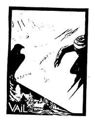 VAIL logo