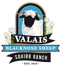 VALAIS BLACKNOSE SHEEP SQUIBB RANCH EST. 2018 logo