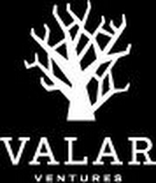 VALAR VENTURES logo