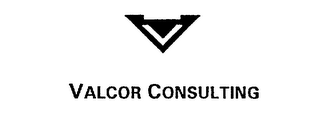 VALCOR CONSULTING logo