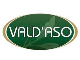 VALD'ASO logo