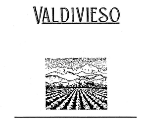 VALDIVIESO logo
