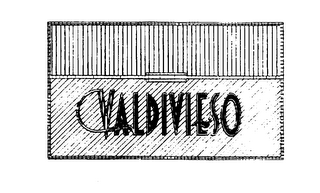 VALDIVIESO logo