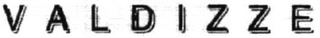 VALDIZZE logo