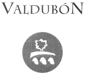 VALDUBÓN logo