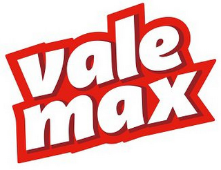 VALE MAX logo