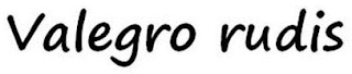 VALEGRO RUDIS logo