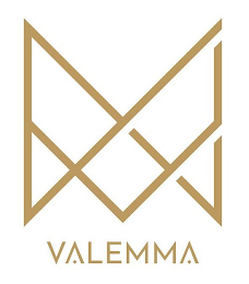 VALEMMA logo