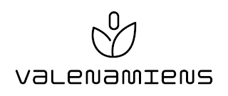 VALENAMIENS logo