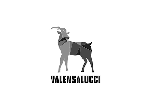 VALENSALUCCI logo