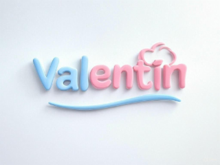 VALENTIN logo