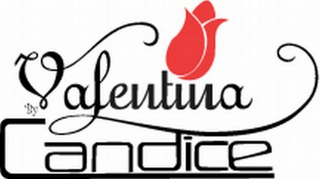 VALENTINA  BY CANDICE logo