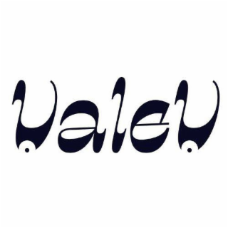 VALEV logo