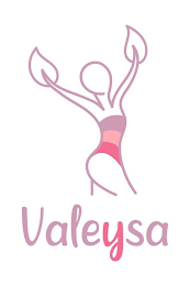 VALEYSA logo