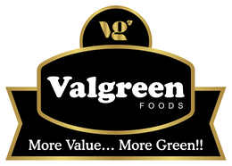 VALGREEN FOODS MORE VALUE... MORE GREEN!! logo