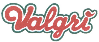 VALGRI logo