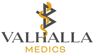 VALHALLA MEDICS logo
