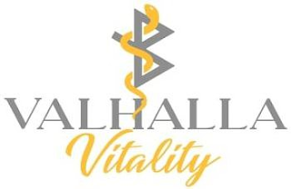 VALHALLA VITALITY logo