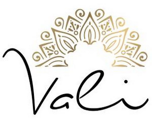 VALI logo