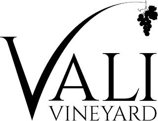 VALI VINEYARD logo