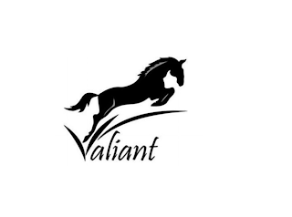 VALIANT logo