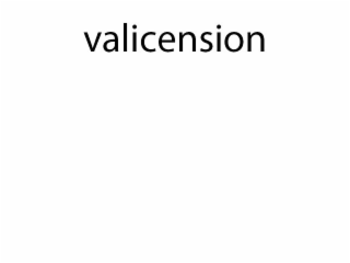 VALICENSION logo