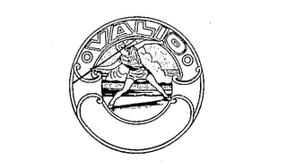 VALIO logo