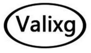 VALIXG logo