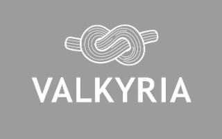 VALKYRIA logo