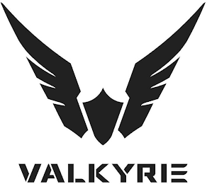 VALKYRIE logo