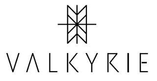 VALKYRIE logo
