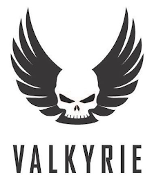 VALKYRIE logo
