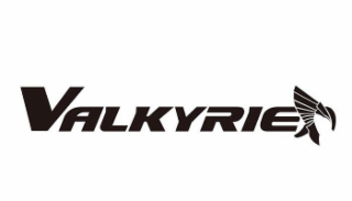 VALKYRIE logo