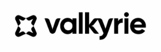 VALKYRIE logo