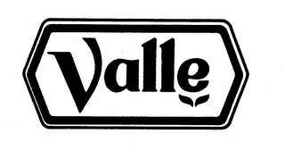 VALLE logo