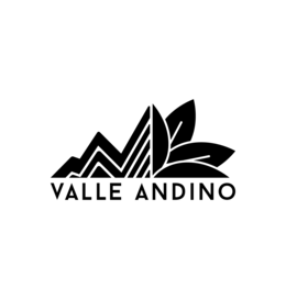 VALLE ANDINO logo