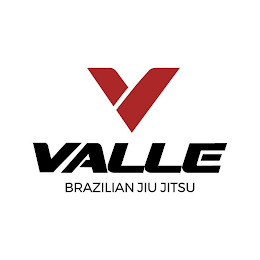 VALLE BRAZILLIAN JIU JITSU logo