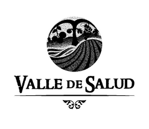VALLE DE SALUD logo