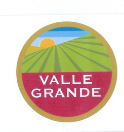 VALLE GRANDE logo