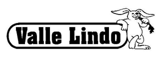 VALLE LINDO logo
