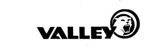 VALLEY logo