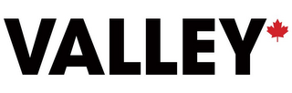 VALLEY logo