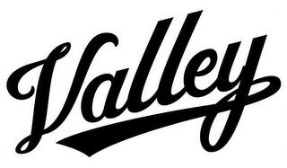 VALLEY logo