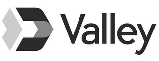 VALLEY logo
