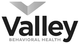 VALLEY BEHAVIORAL HEALTH logo