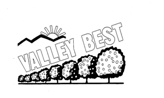 VALLEY BEST logo