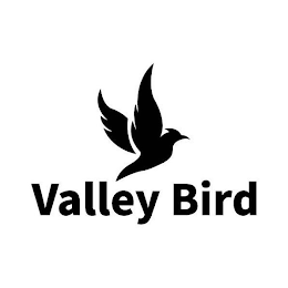 VALLEY BIRD logo