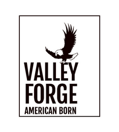 VALLEY FORGE AMERICAN BORN logo