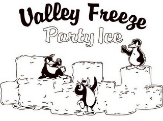 VALLEY FREEZE PARTY ICE logo