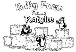 VALLEY FREEZE PREMIUM PARTY ICE logo